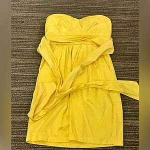 Alyn Paige Strapless Sunlit Dress